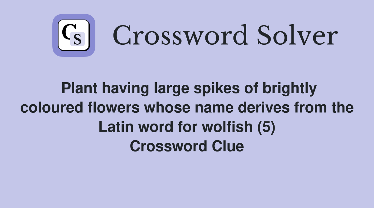 Plant having large spikes of brightly coloured flowers whose name derives from the Latin word for wolfish (5) Crossword Clue