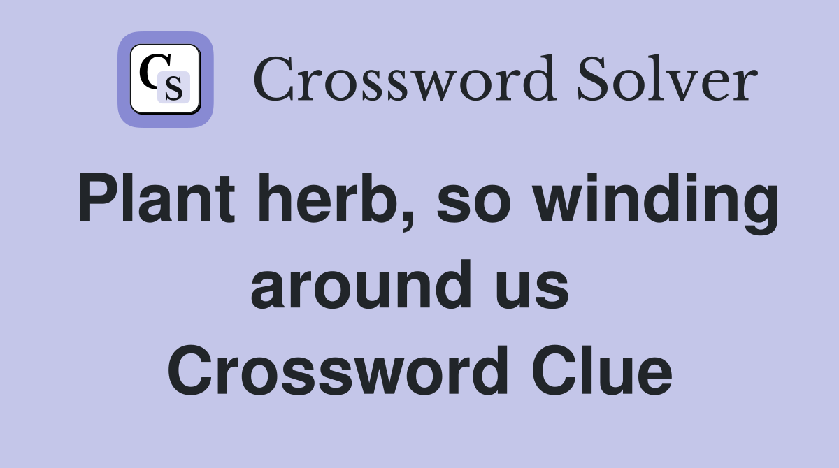 Plant herb, so winding around us  Crossword Clue