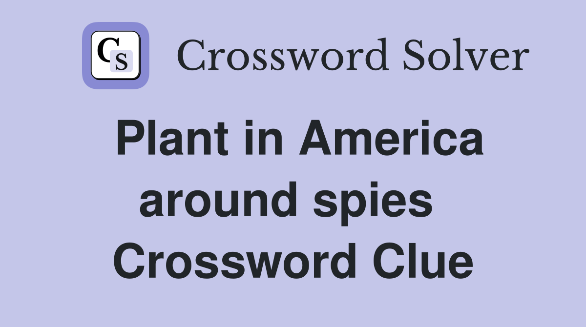 Plant in America around spies  Crossword Clue
