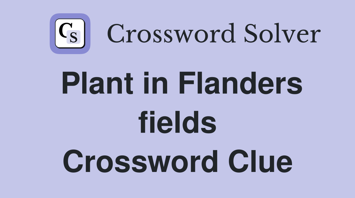 Plant in Flanders fields Crossword Clue