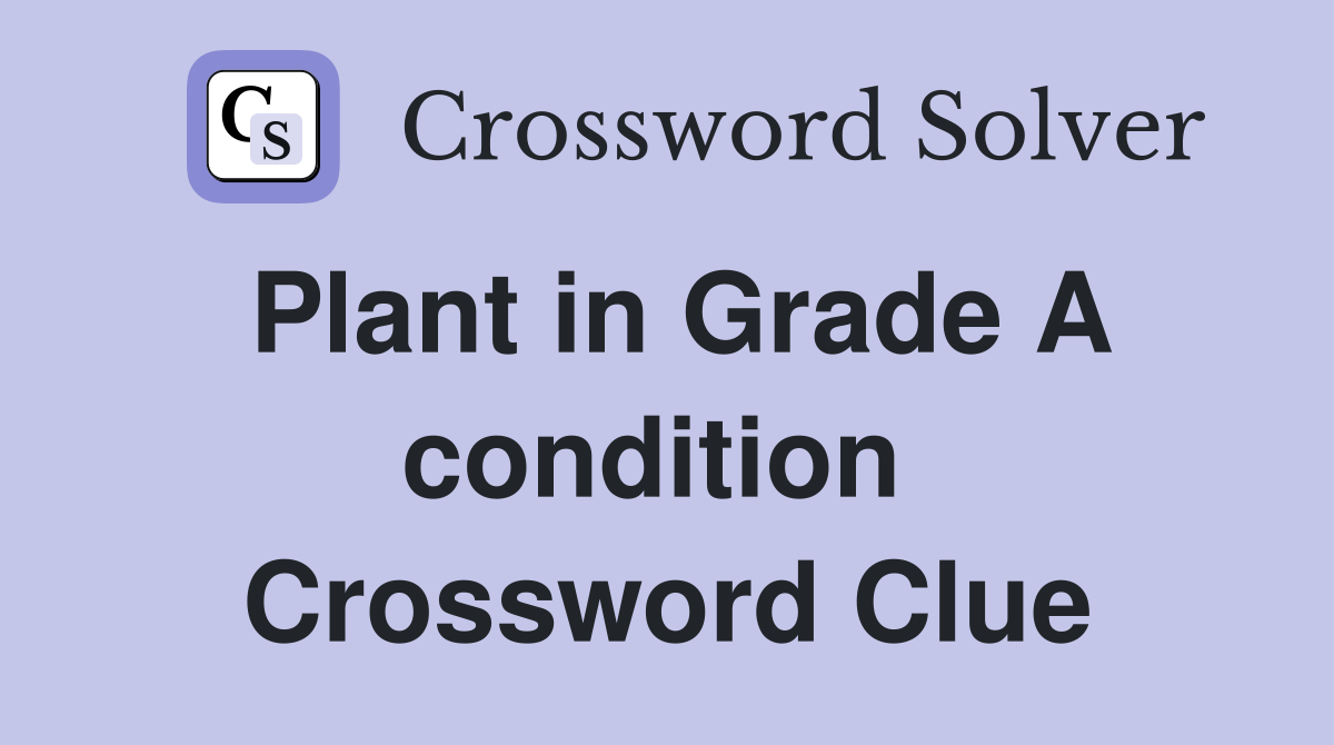 Plant in Grade A condition  Crossword Clue