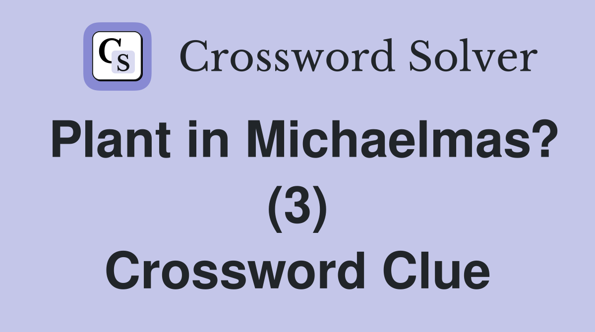 Plant in Michaelmas? (3) Crossword Clue