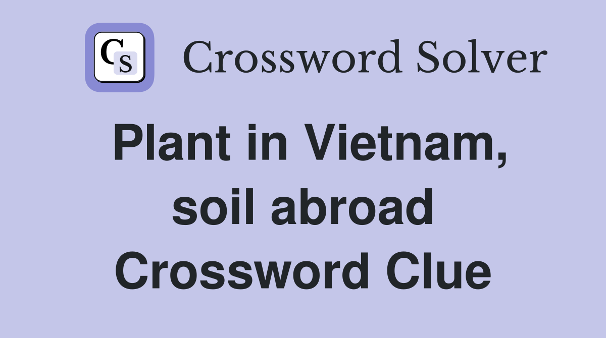 Plant in Vietnam, soil abroad Crossword Clue