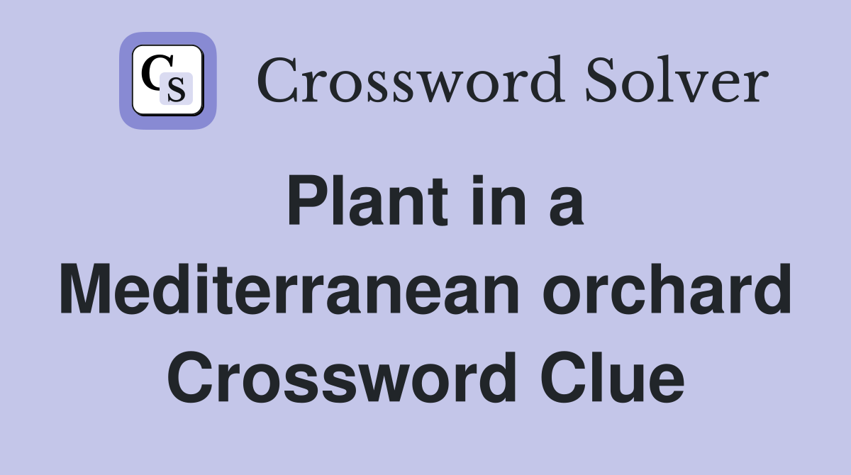 Plant in a Mediterranean orchard Crossword Clue