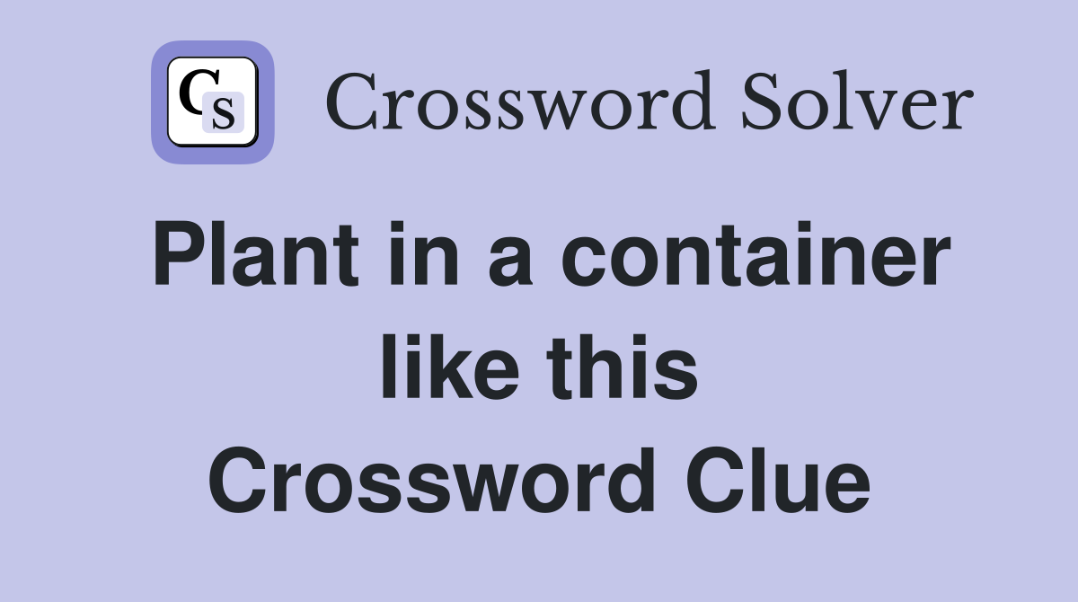 Plant in a container like this Crossword Clue