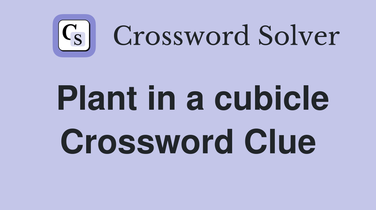 Plant in a cubicle Crossword Clue