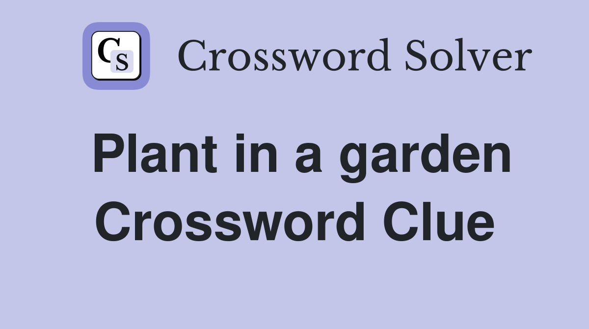 Plant in a garden Crossword Clue