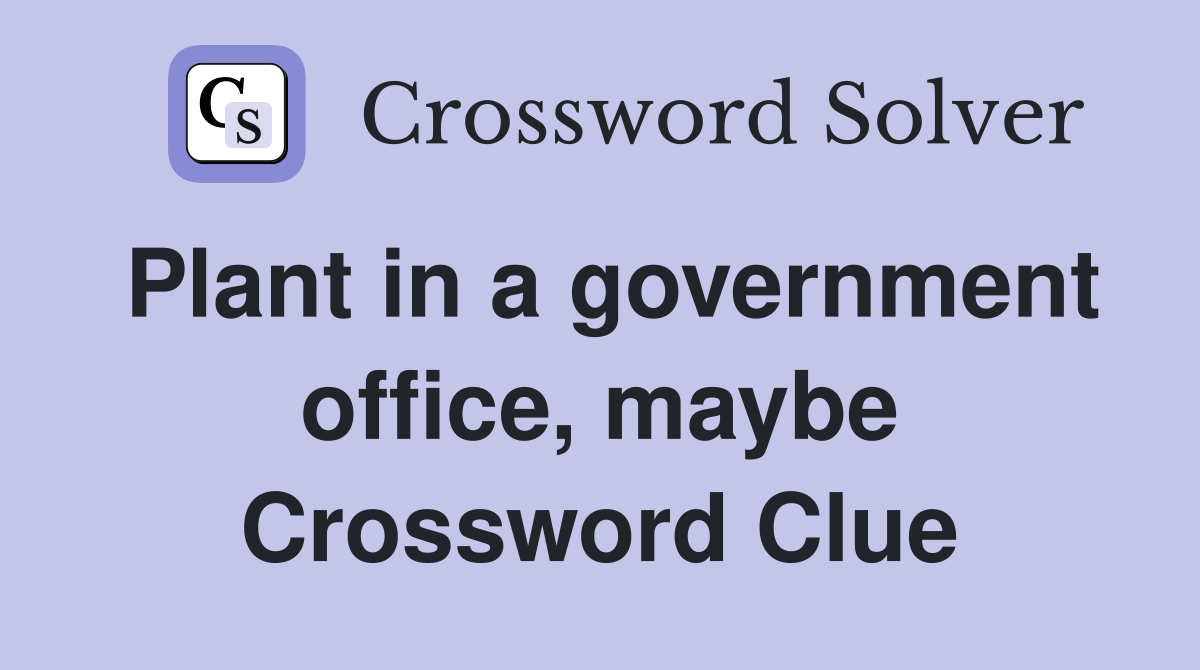 Plant in a government office, maybe Crossword Clue