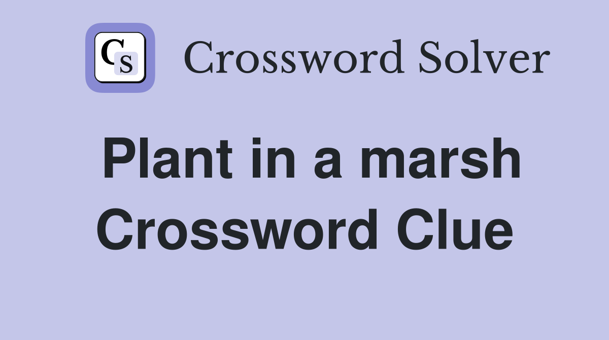 Plant in a marsh Crossword Clue