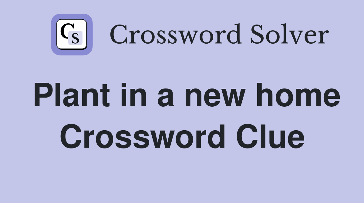 Plant in a new home Crossword Clue