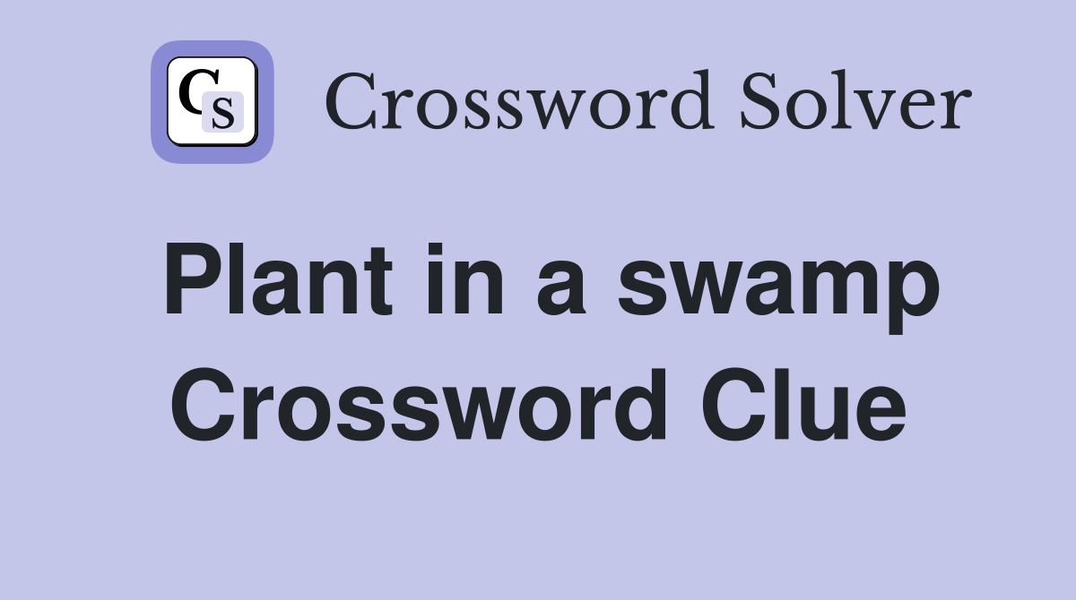 Plant in a swamp Crossword Clue