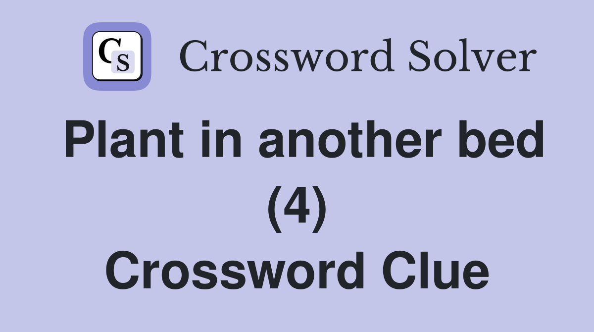 Plant in another bed (4) Crossword Clue