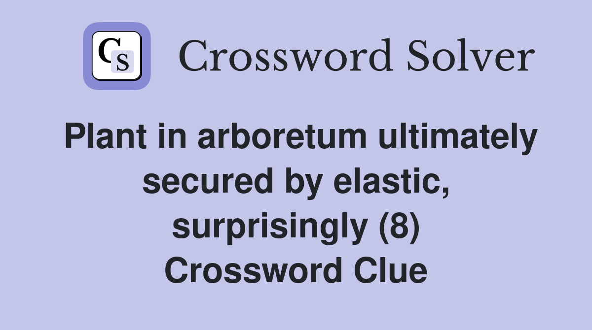 Plant in arboretum ultimately secured by elastic, surprisingly (8) Crossword Clue