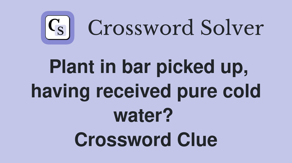 Plant in bar picked up, having received pure cold water?  Crossword Clue