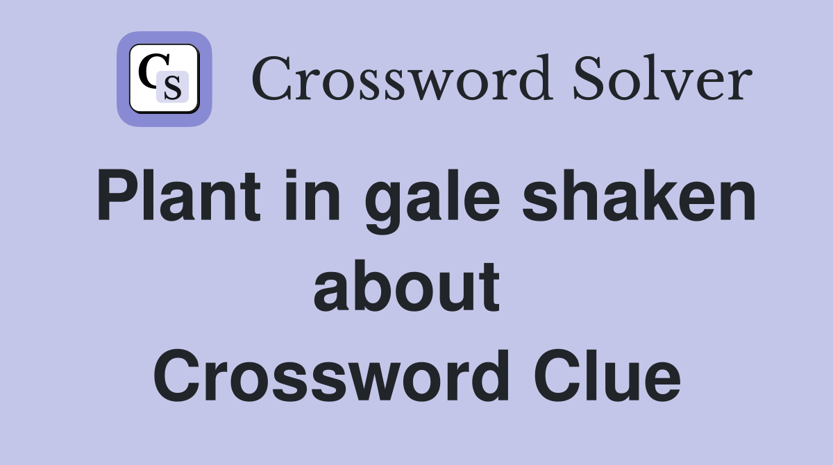 Plant in gale shaken about  Crossword Clue