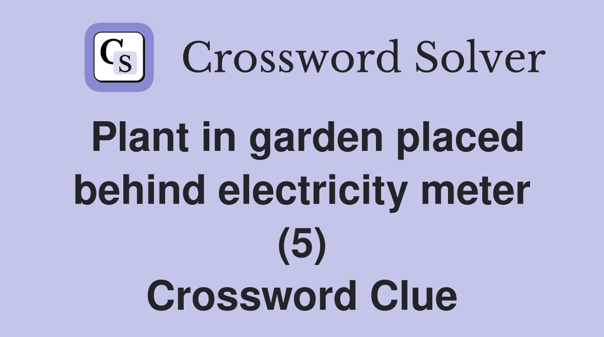Plant in garden placed behind electricity meter (5) Crossword Clue