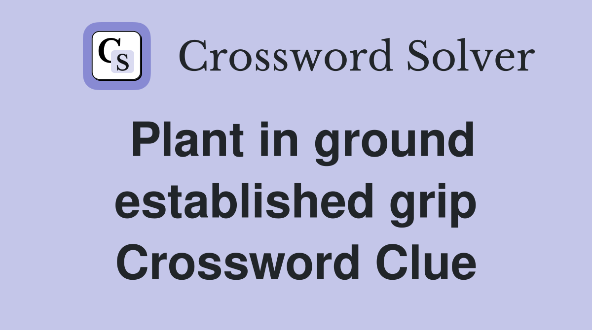 Plant in ground established grip Crossword Clue
