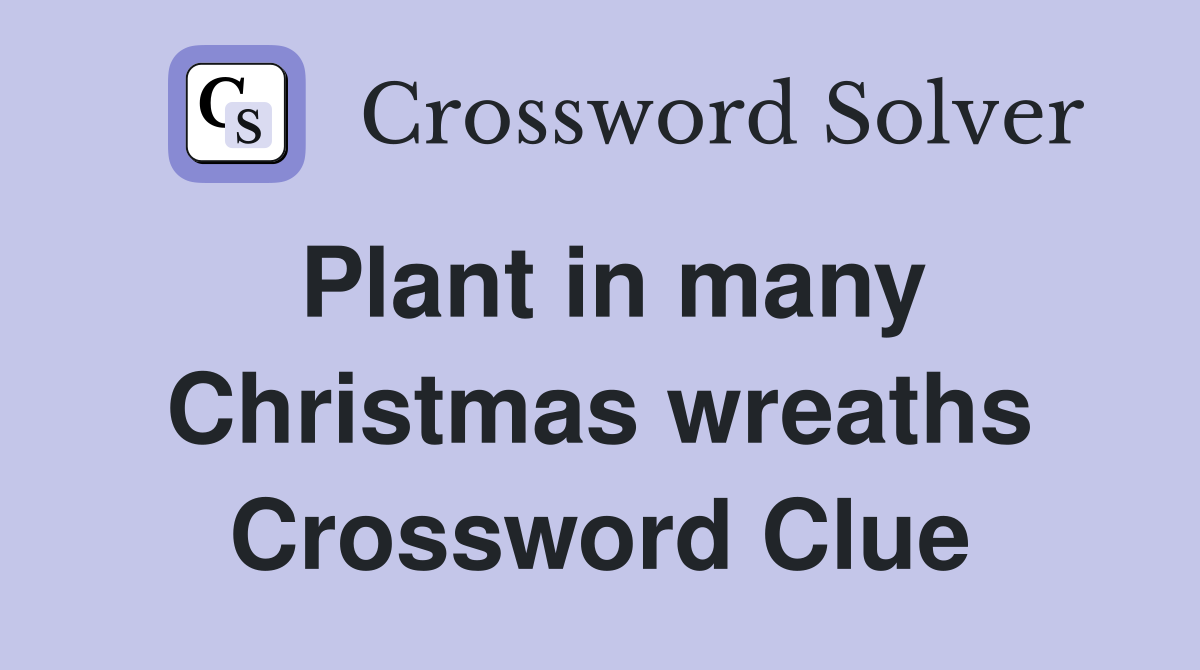 Plant in many Christmas wreaths Crossword Clue