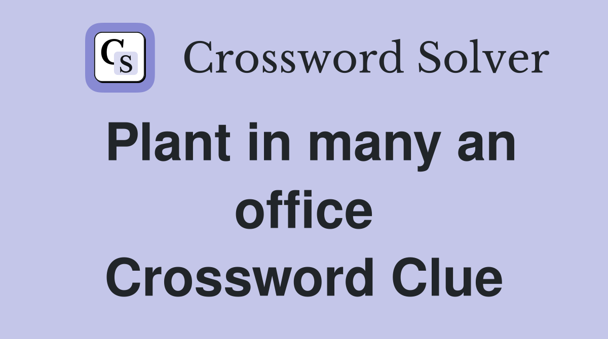 Plant in many an office Crossword Clue