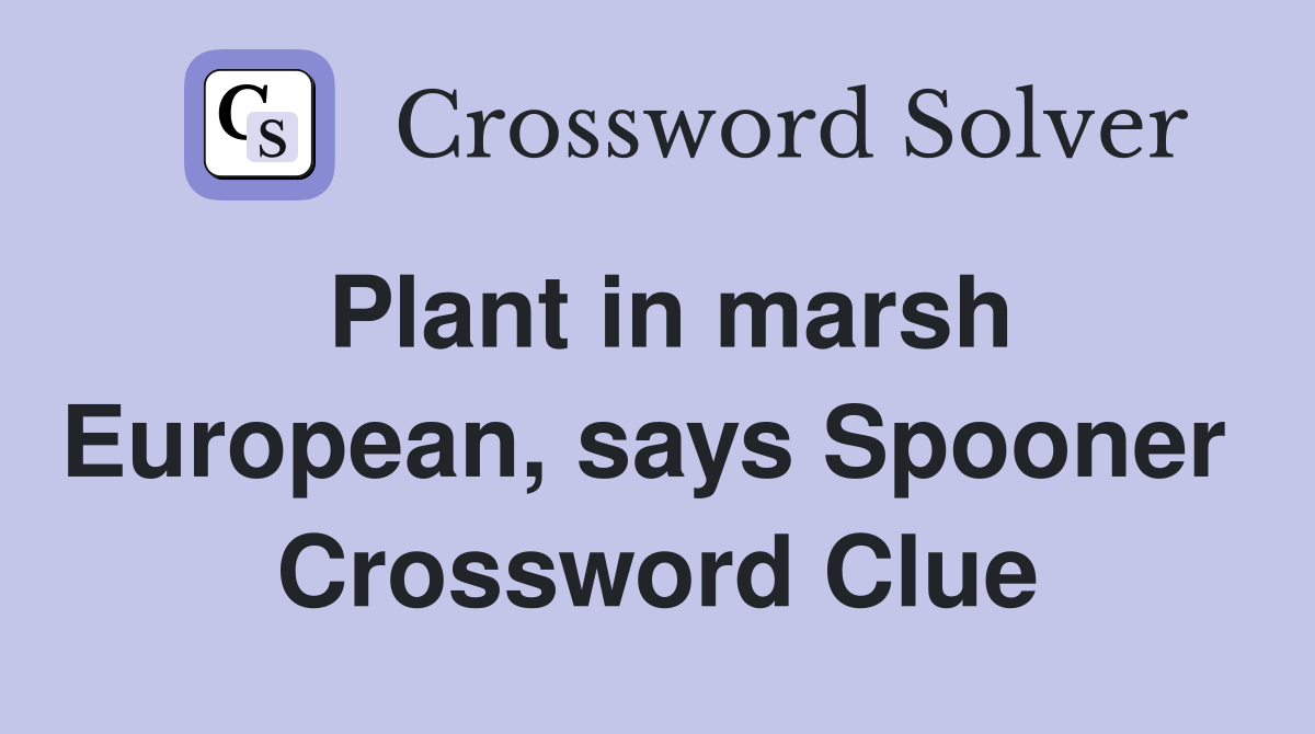 Plant in marsh European, says Spooner  Crossword Clue