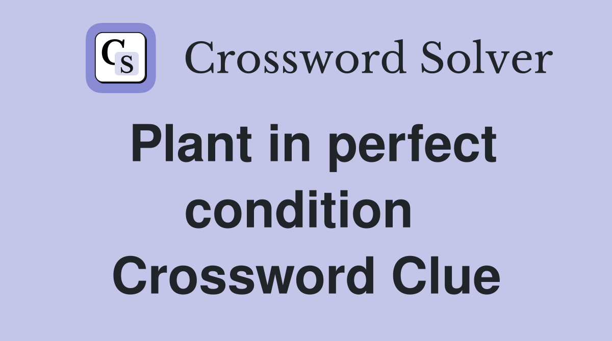 Plant in perfect condition  Crossword Clue