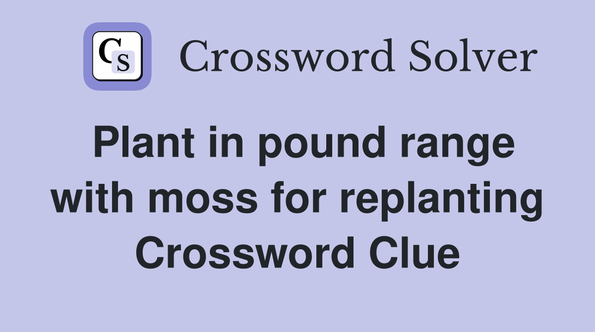 Plant in pound range with moss for replanting Crossword Clue