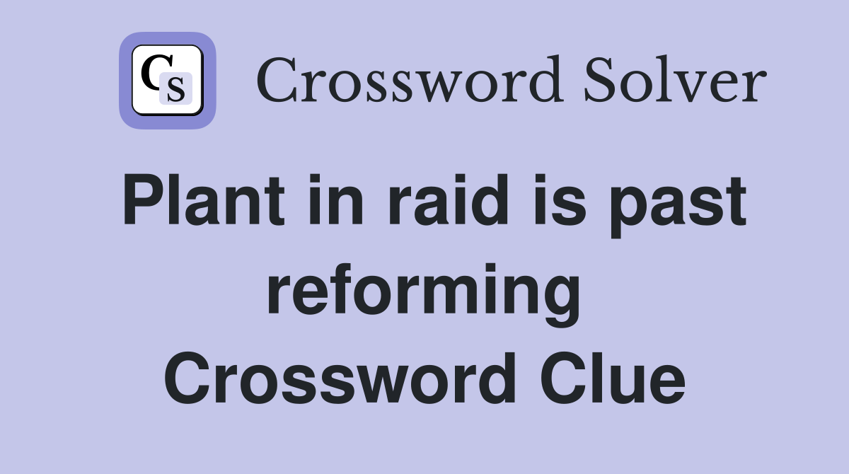 Plant in raid is past reforming Crossword Clue