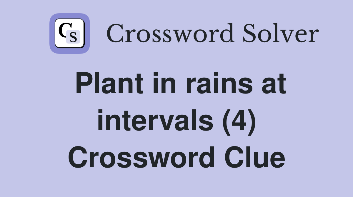 Plant in rains at intervals (4) Crossword Clue