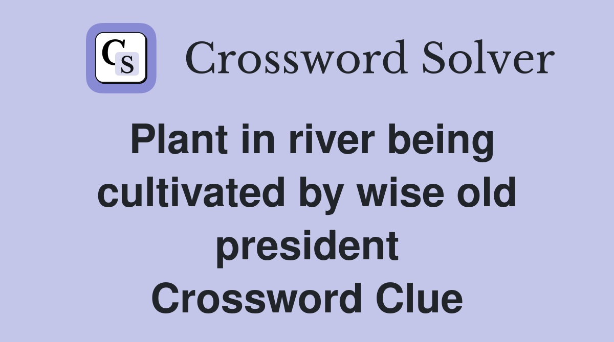 Plant in river being cultivated by wise old president Crossword Clue
