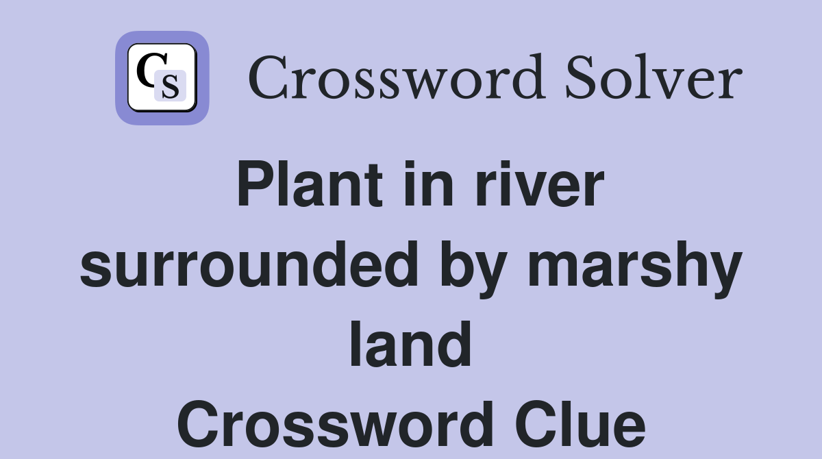 Plant in river surrounded by marshy land Crossword Clue