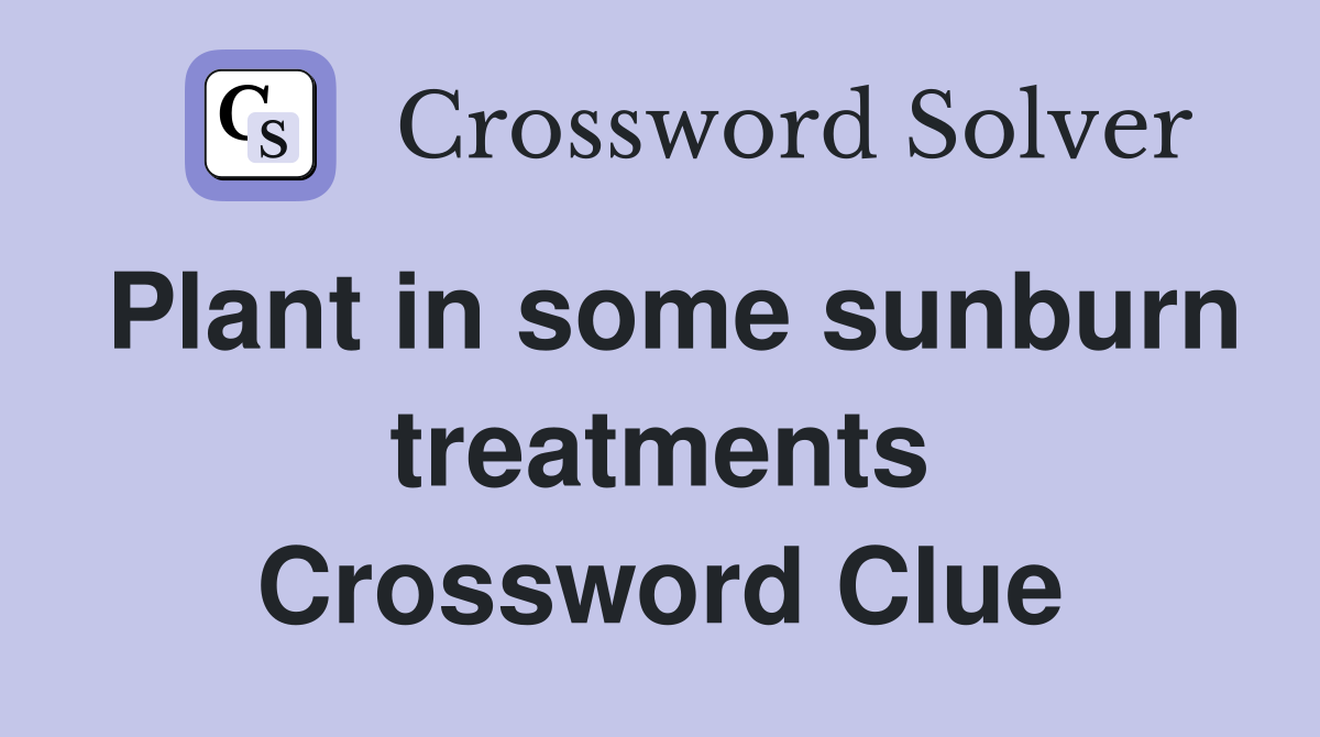 Plant in some sunburn treatments Crossword Clue