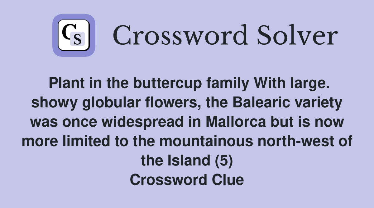 Plant in the buttercup family With large. showy globular flowers, the Balearic variety was once widespread in Mallorca but is now more limited to the mountainous north-west of the Island (5) Crossword Clue