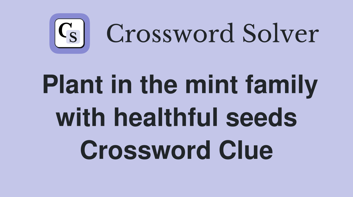 Plant in the mint family with healthful seeds Crossword Clue