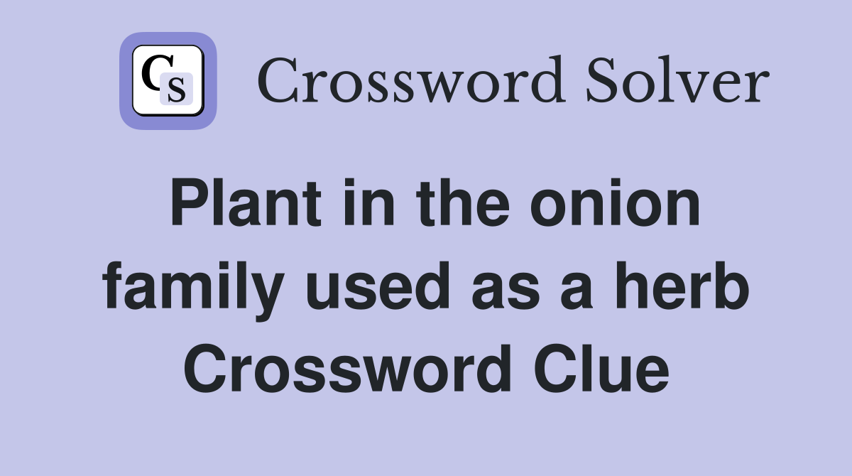 Plant in the onion family used as a herb Crossword Clue