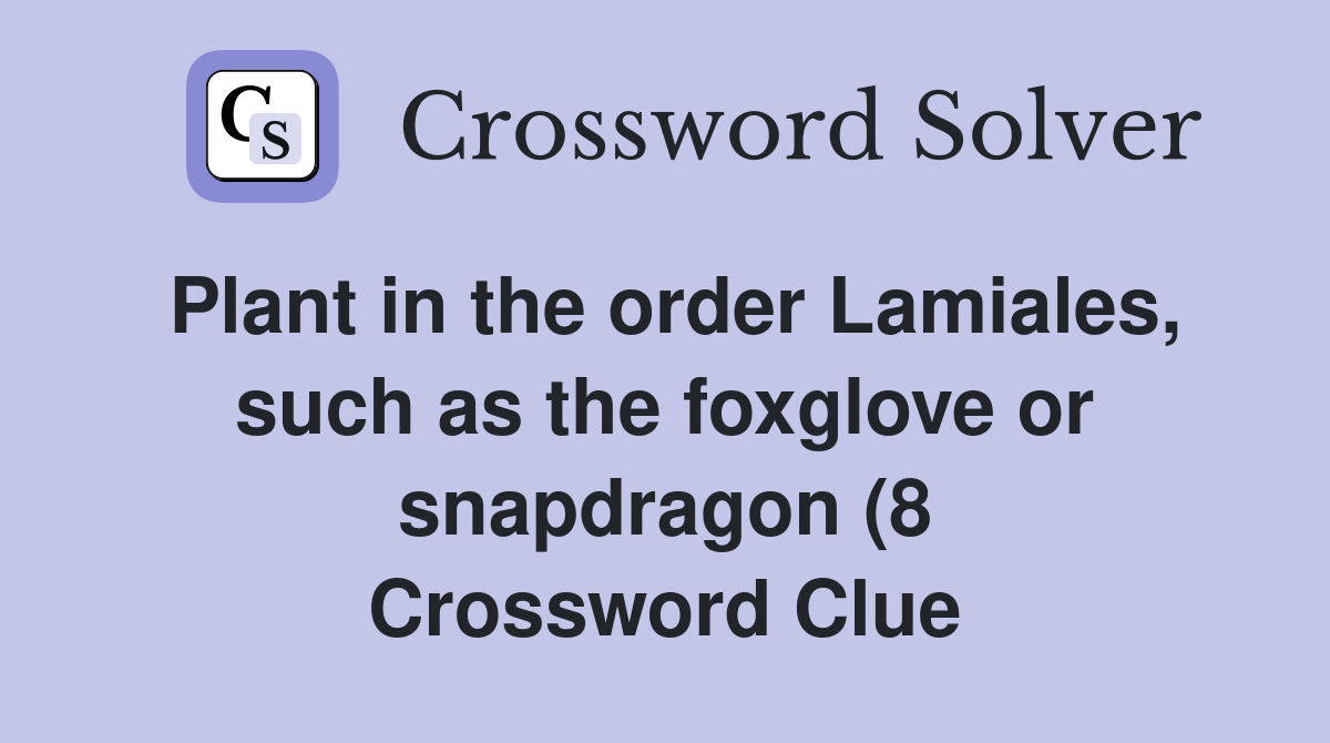 Plant in the order Lamiales such as the foxglove or snapdragon (8 Plant in the order Lamiales such as the foxglove or snapdragon (8