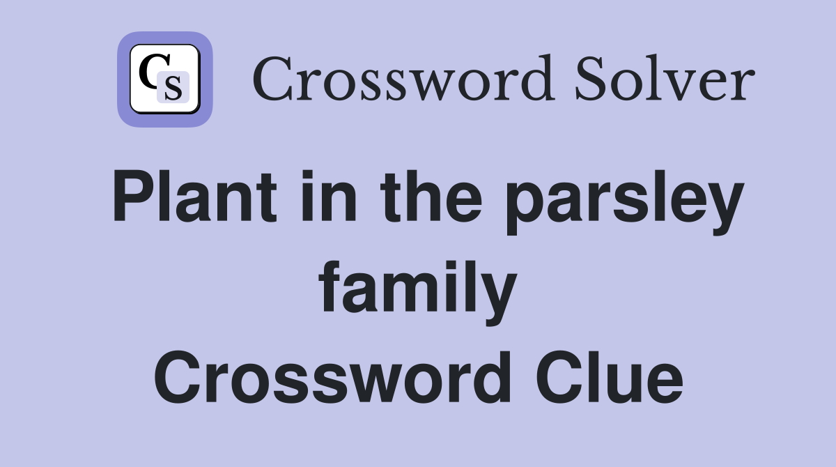 Plant in the parsley family Crossword Clue