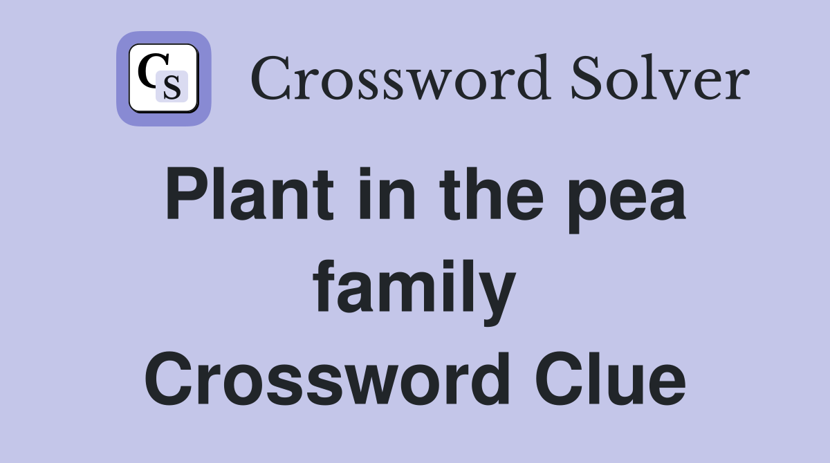 Plant in the pea family Crossword Clue