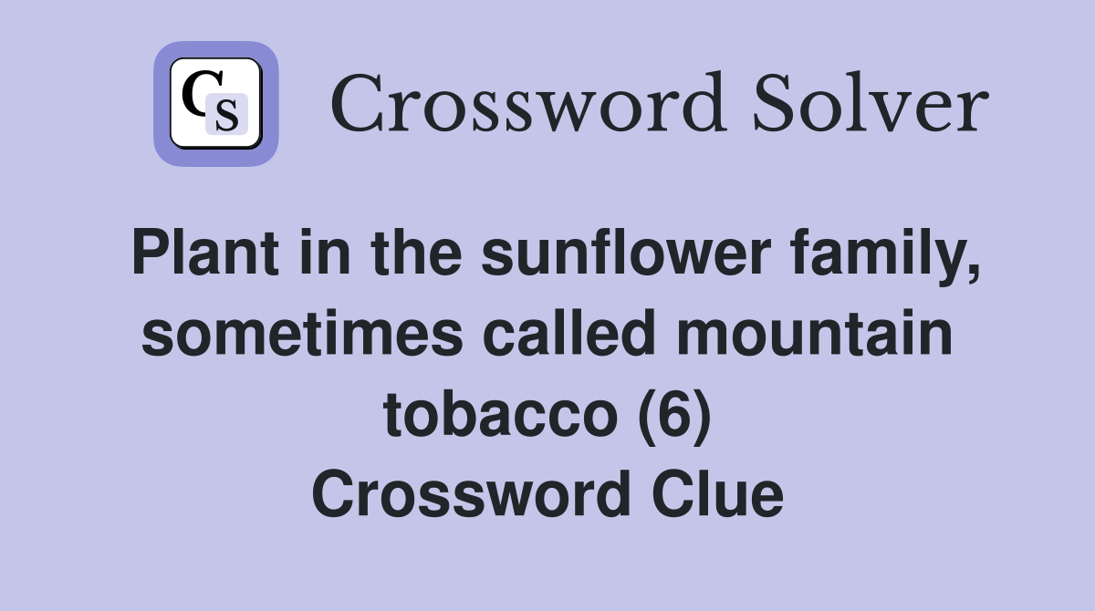 Plant in the sunflower family, sometimes called mountain tobacco (6) Crossword Clue