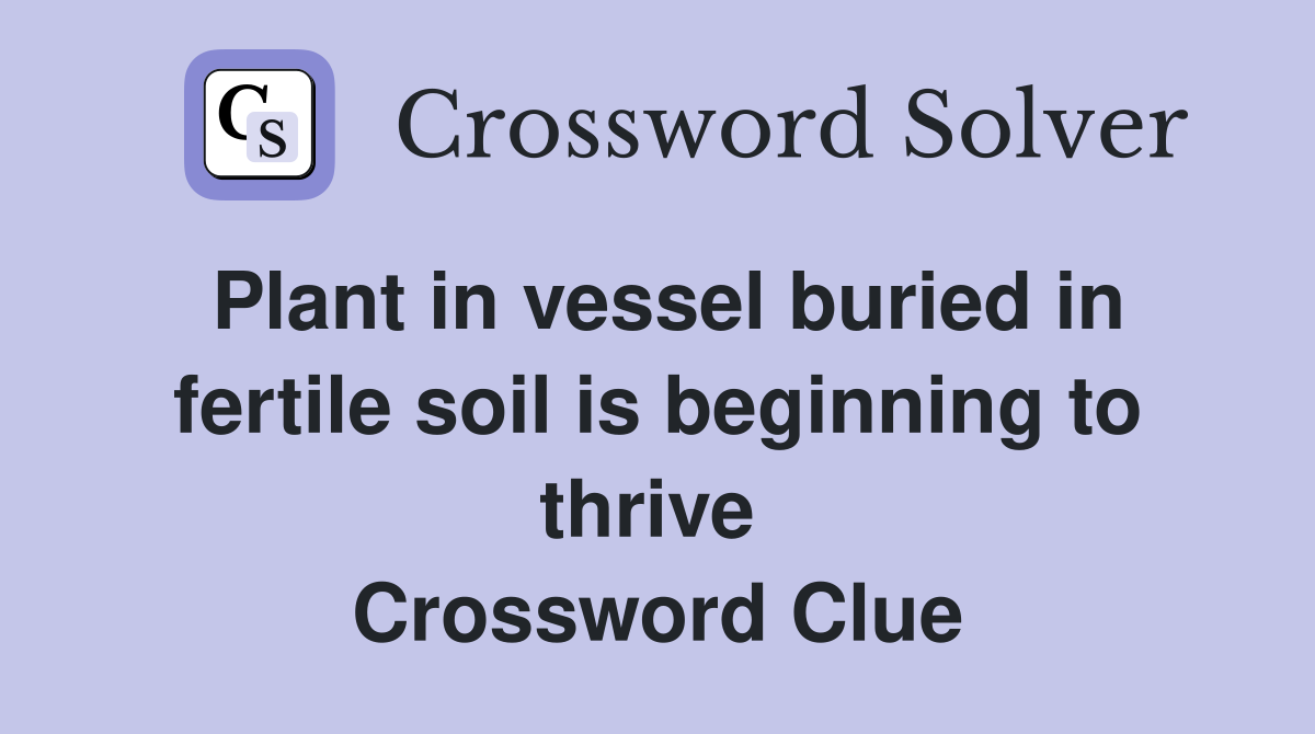 Plant in vessel buried in fertile soil is beginning to thrive  Crossword Clue