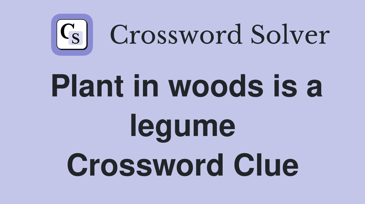 Plant in woods is a legume Crossword Clue