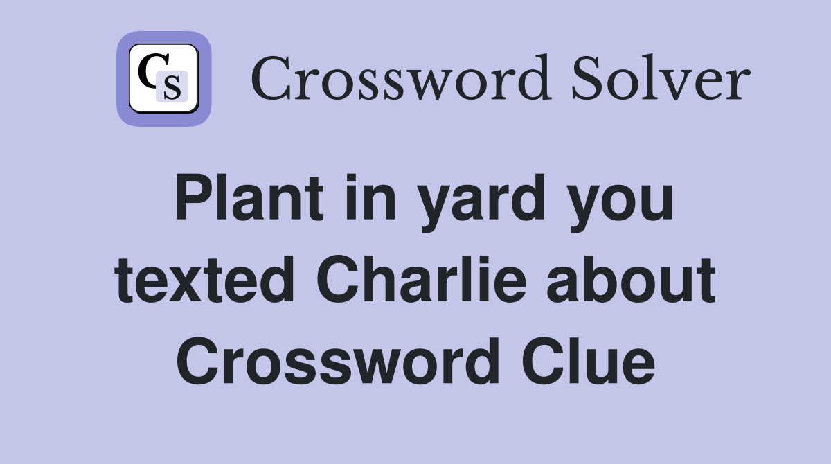 Plant in yard you texted Charlie about Crossword Clue