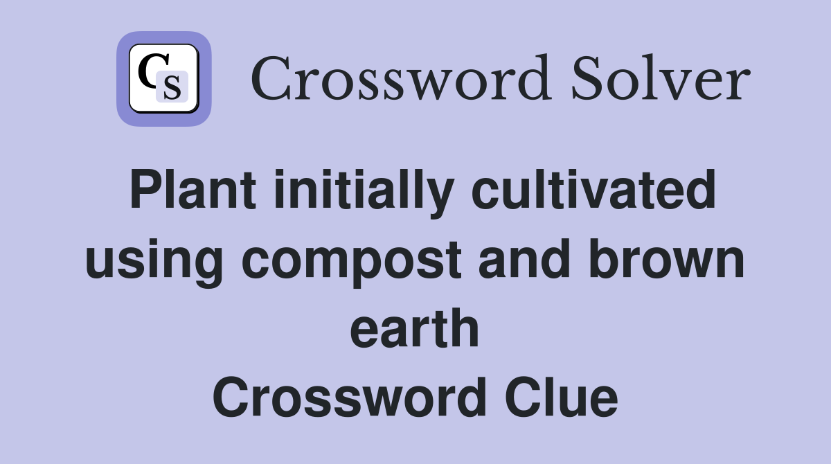 Plant initially cultivated using compost and brown earth Crossword Clue