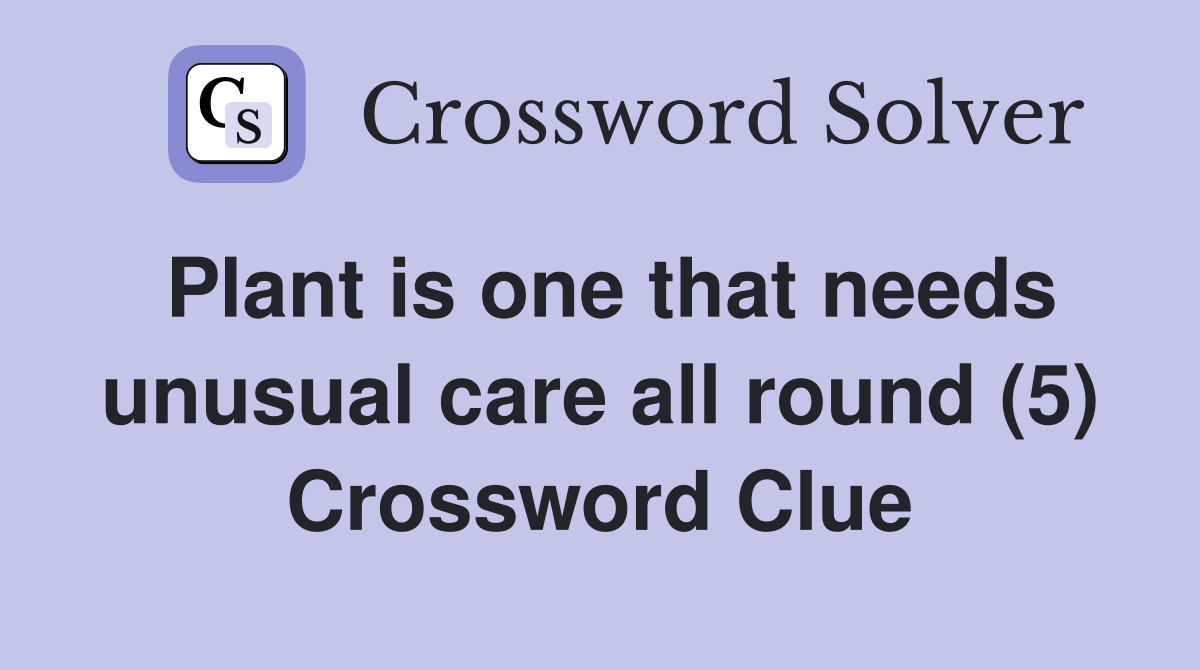 Plant is one that needs unusual care all round (5) Crossword Clue