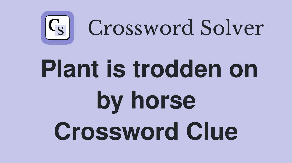 Plant is trodden on by horse Crossword Clue
