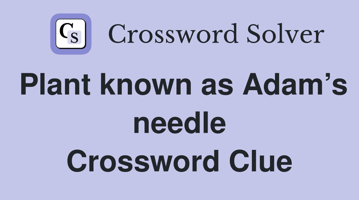 Plant known as Adam’s needle Crossword Clue