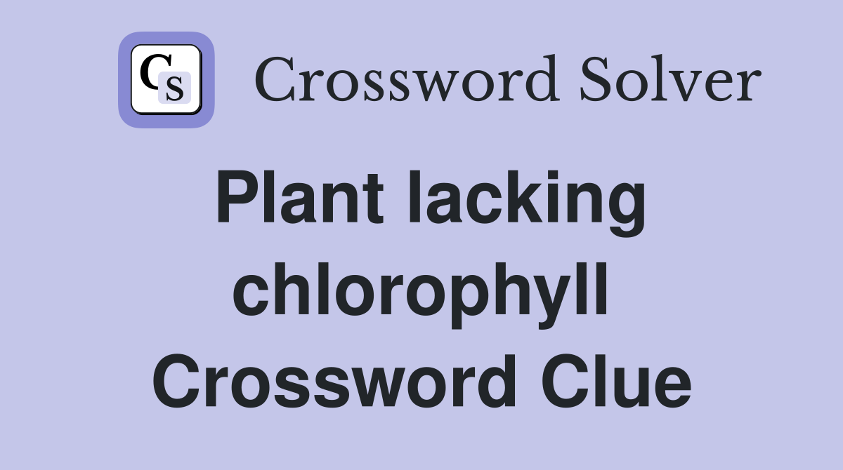 Plant lacking chlorophyll Crossword Clue