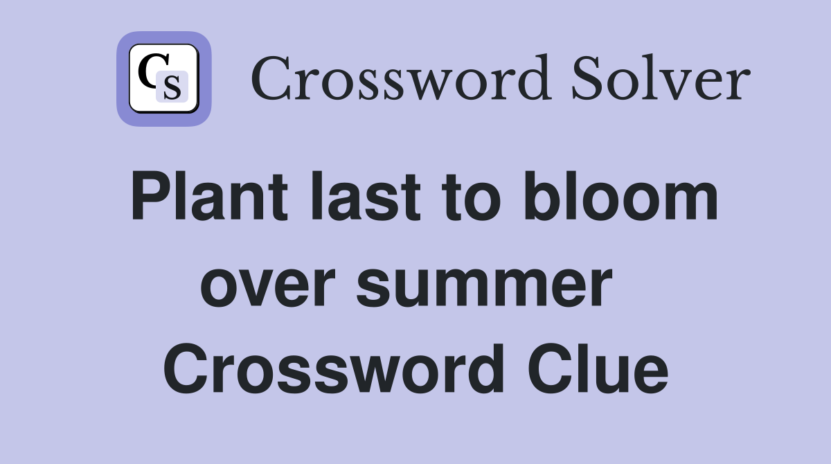 Plant last to bloom over summer  Crossword Clue