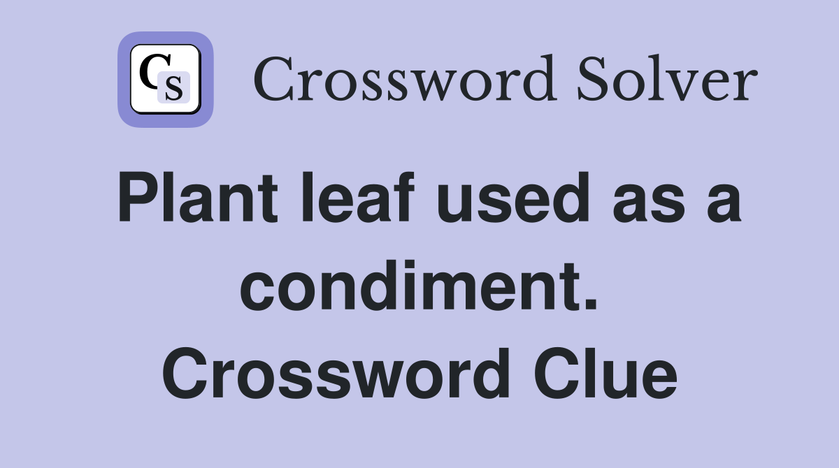 Plant leaf used as a condiment. Crossword Clue