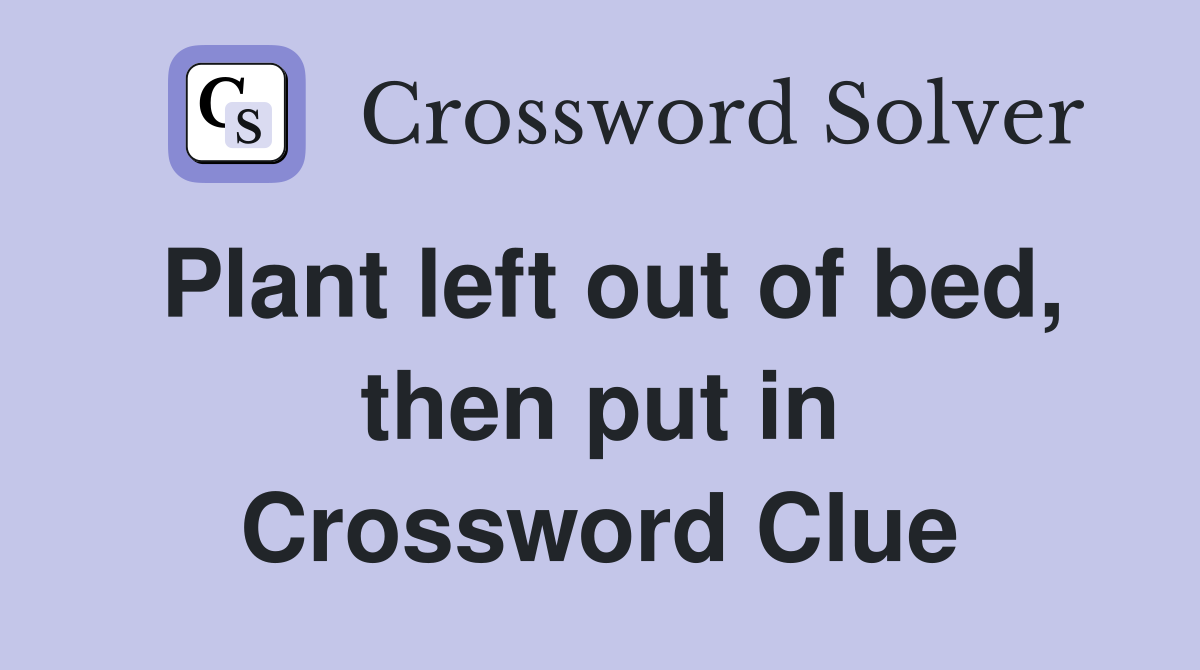 Plant left out of bed, then put in Crossword Clue