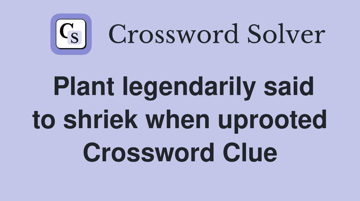 Plant legendarily said to shriek when uprooted Crossword Clue